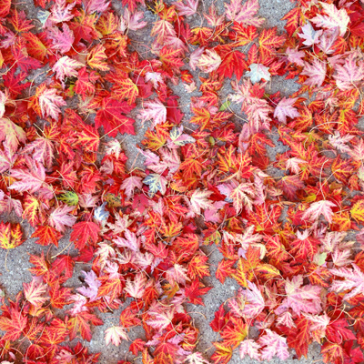 parallax background